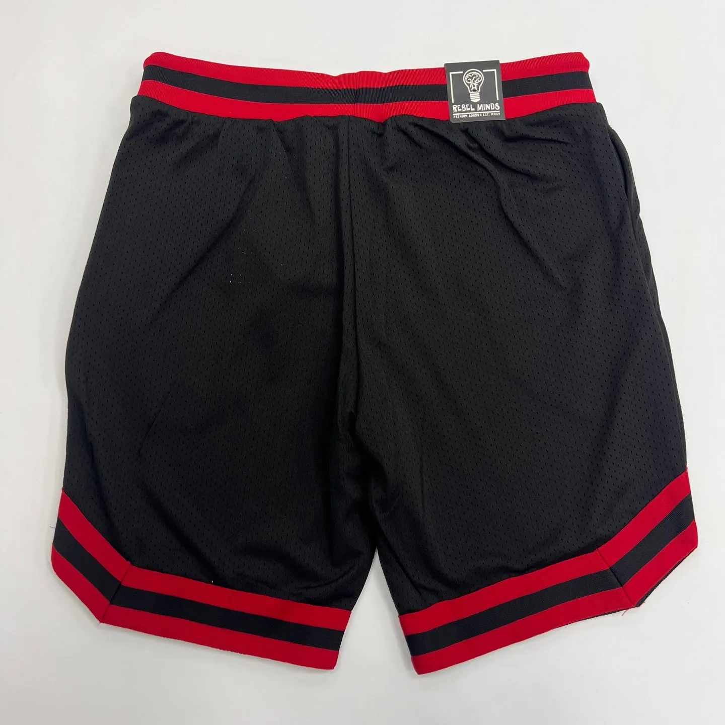 REBEL MINDS Basketball Mesh Shorts